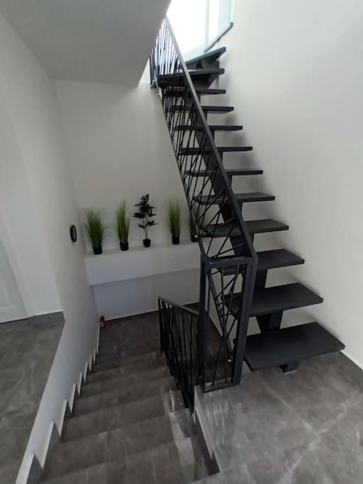 Old Town Studio 1 Apartment Nr 1 Baia Mare Exterior photo
