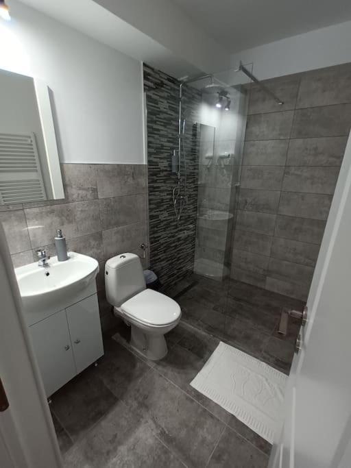 Old Town Studio 1 Apartment Nr 1 Baia Mare Exterior photo
