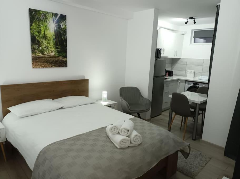 Old Town Studio 1 Apartment Nr 1 Baia Mare Exterior photo