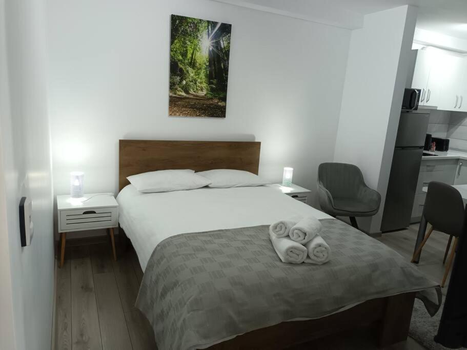 Old Town Studio 1 Apartment Nr 1 Baia Mare Exterior photo